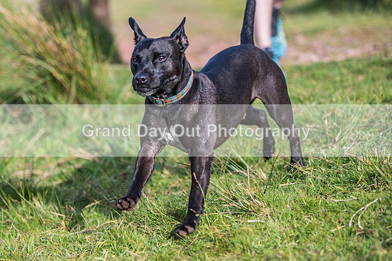 Gavel-103 - Gavel Fell Races (Junior & Senior) Wednesday 28th May 2025