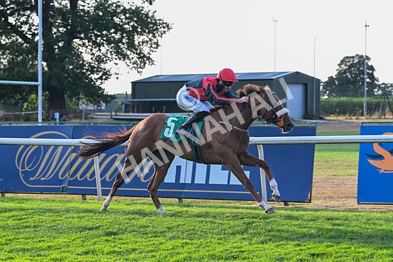 140826-Race 4-Raging Raj-1323 - Race 4 19.18pm Andrew Seaton Celebration Cup Handicap