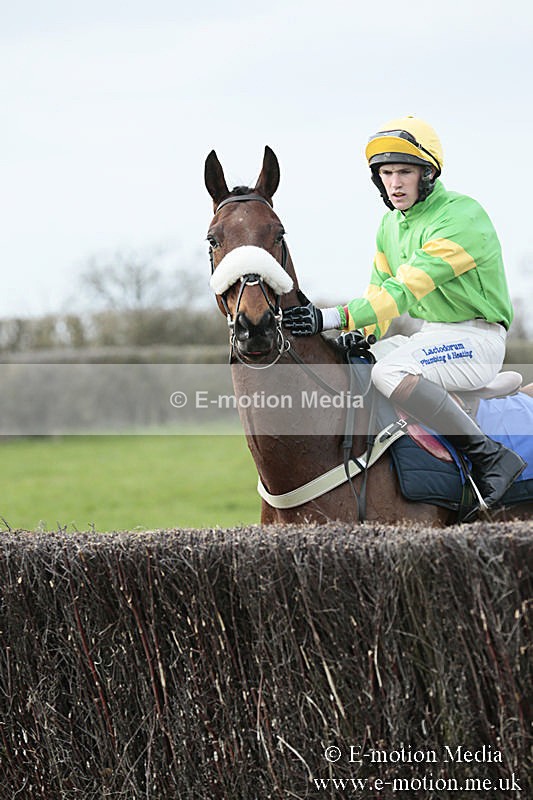 PtP 230319 225 - VWH Hunt Siddington Point-to-Point Racing 23/03/19