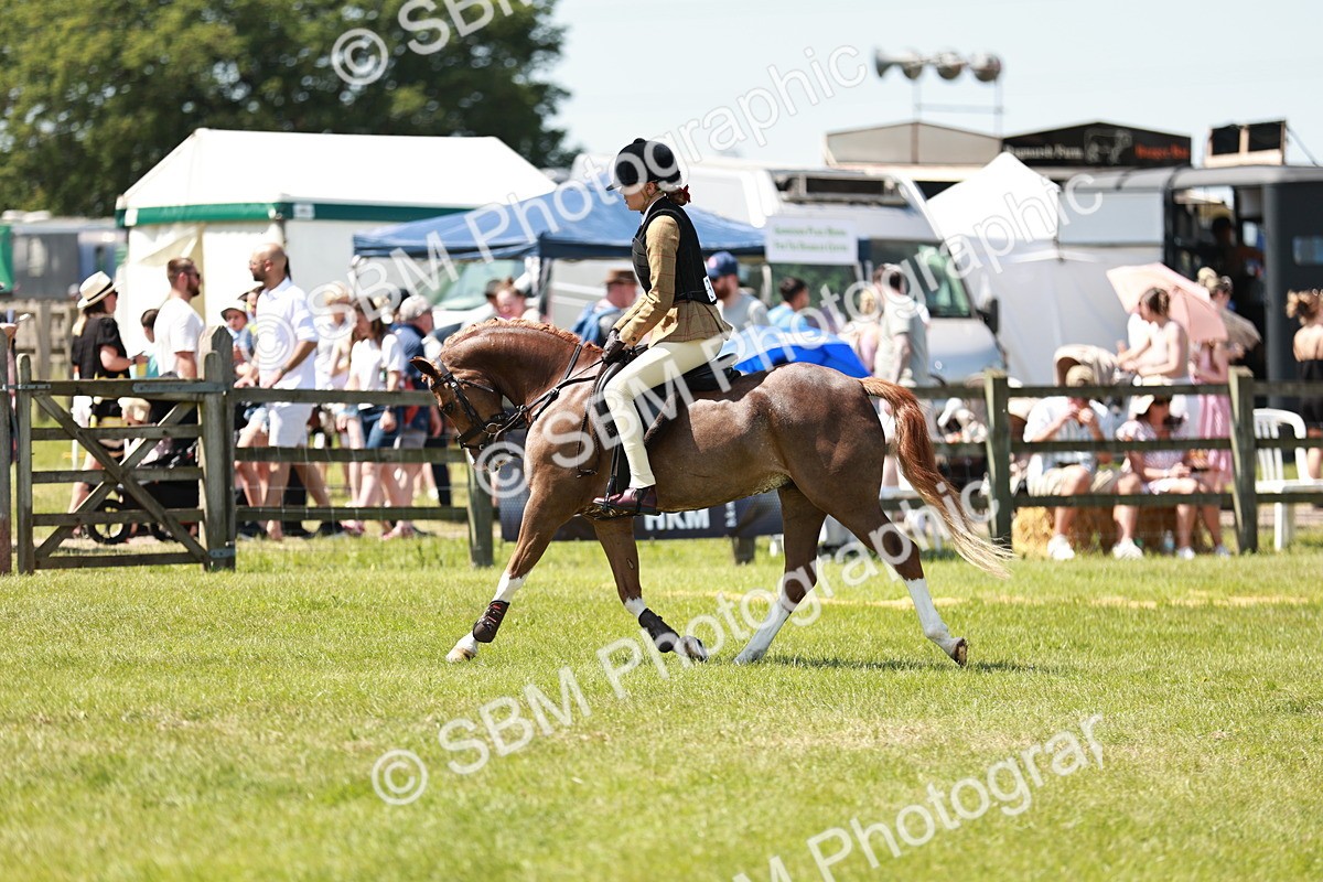 SBM_15647 - Class 108-109 - BSPS LIHS Open Gradle & Nursery Stakes