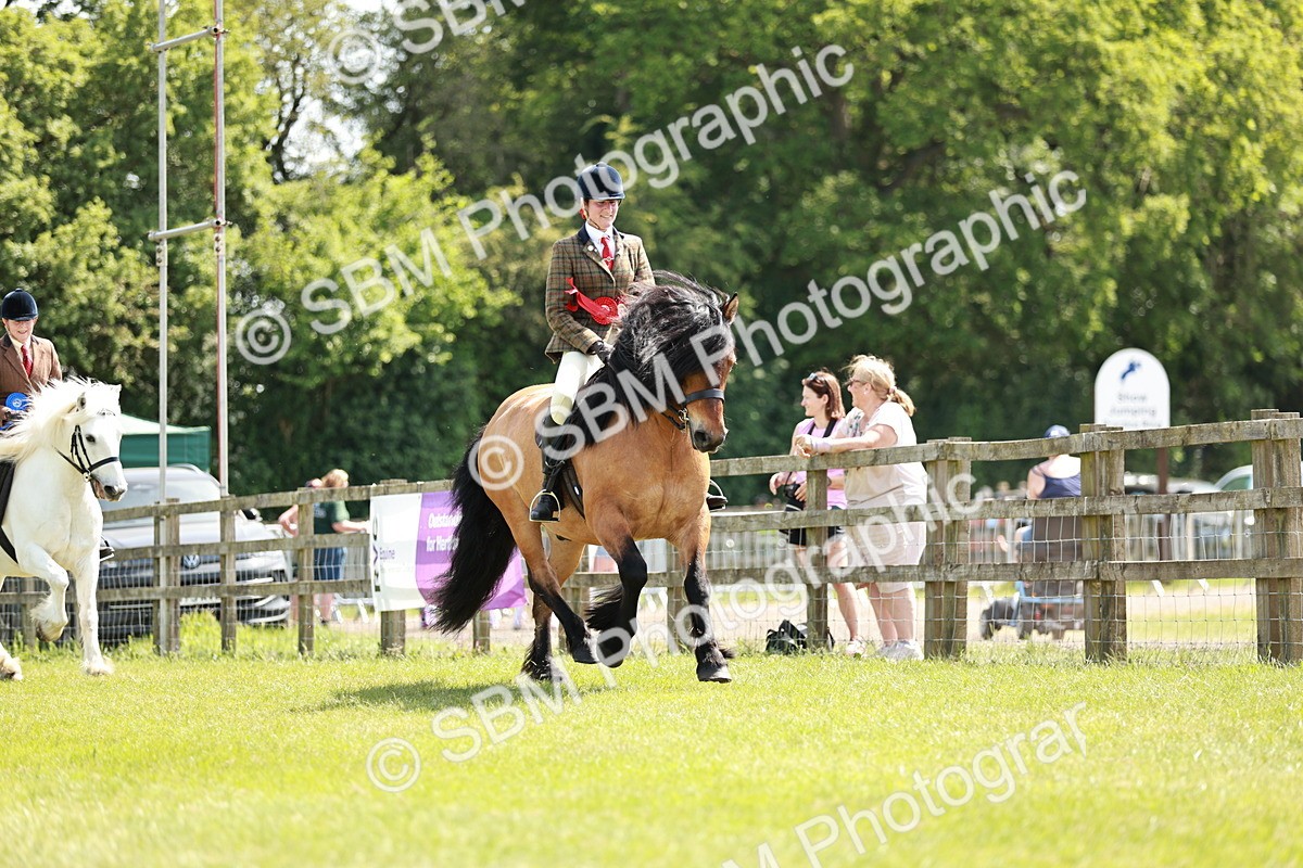 SBM_07216 - Class 26-30 - Mountain and Moorland Ridden
