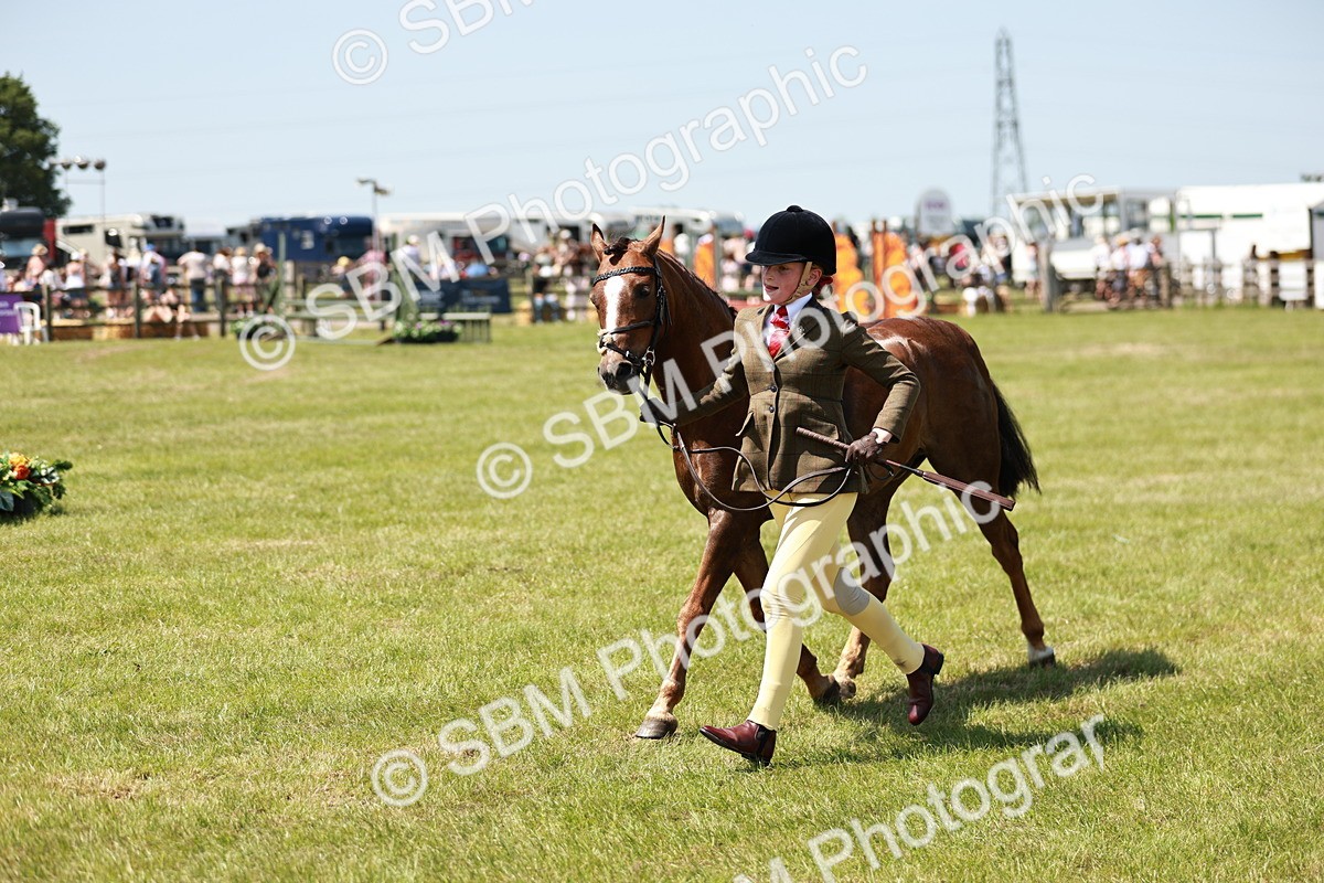 SBM_15610 - Class 108-109 - BSPS LIHS Open Gradle & Nursery Stakes