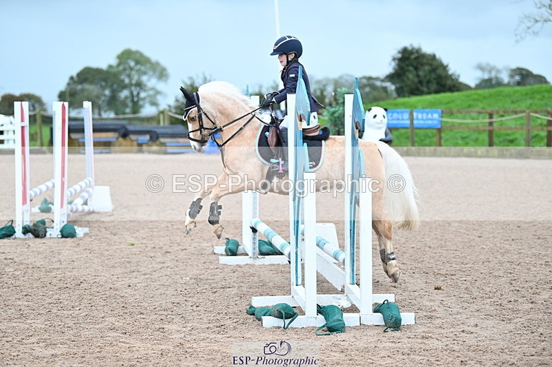 231029A-090621-02284 - 50cm Clear Round