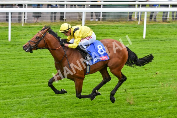 yr11052022r1-27 - Race 1 1.50pm Sky Bet Race to the Ebor Jorvik Stakes