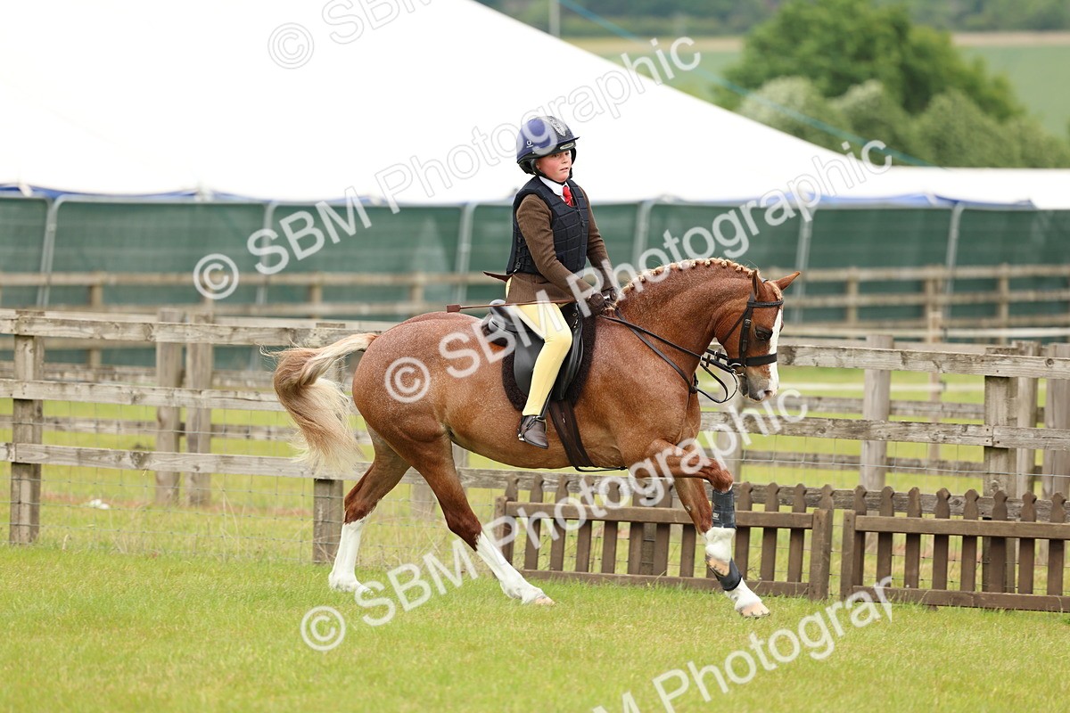 SBM_10280 - Class 44-45 - LIHS BSPS Open Nursery and Cradle Stakes