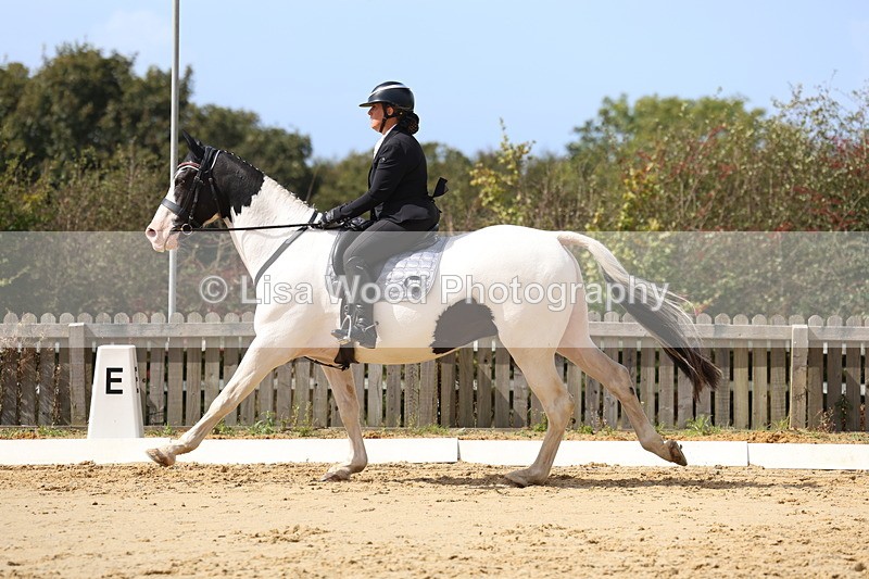 3E7A4105 - Class 9: Novice 6 Section B Championship