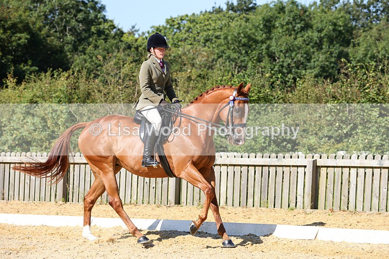 1X9A7898 - Class 10:Riding Horse