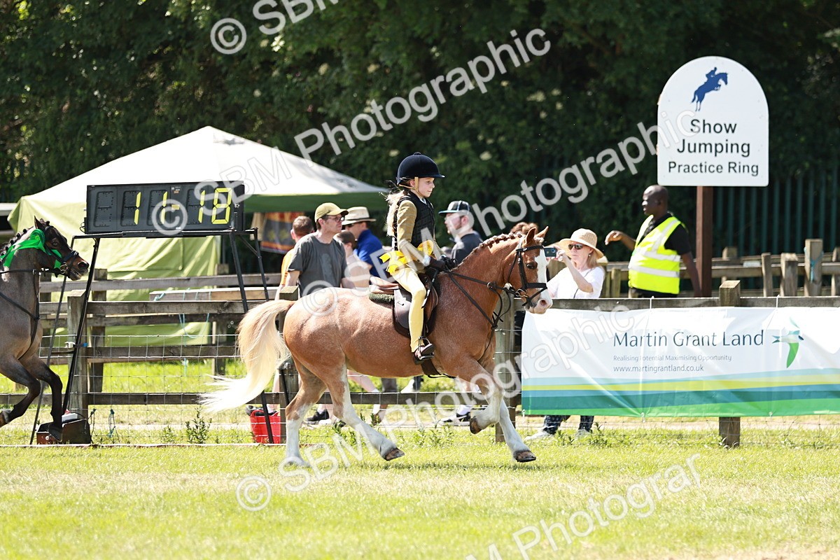 SBM_13672 - Class 108-109 - BSPS LIHS Open Gradle & Nursery Stakes