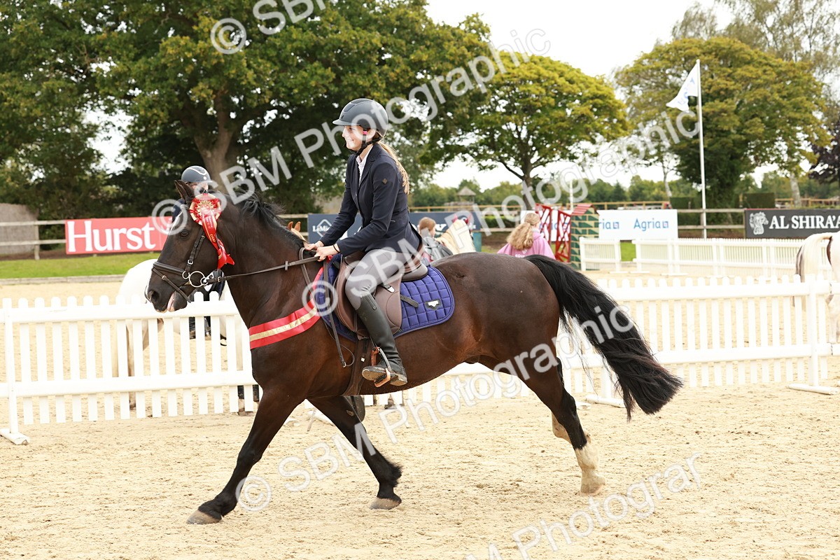 SBM_65344 - Supreme Championship 50cm & 55cm