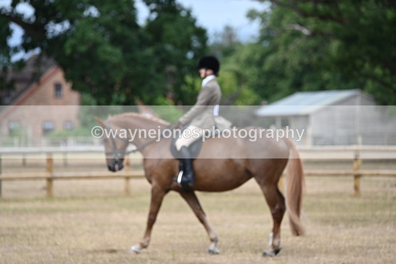 WJ6_7369 - Class 9 Tack and Turnout