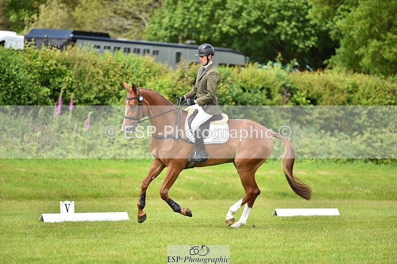 240523B-132344-02400 - 5 Year Old