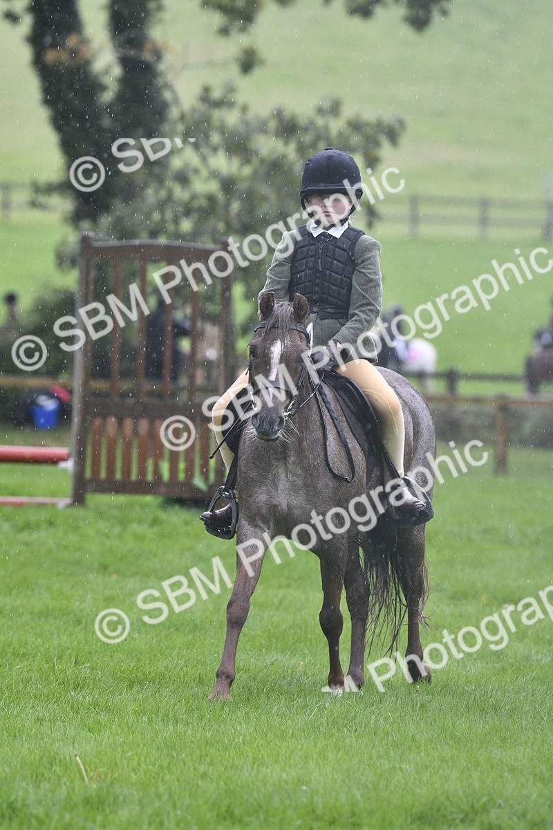 SBM_37131 - S31 - Novice & Newcomer Working Hunter Pony