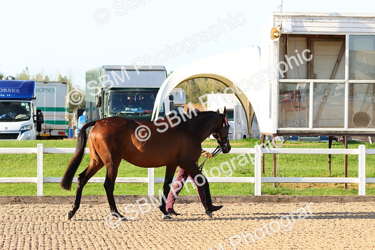 SBM_07938 - Class 201 - Best Turned Out - IH