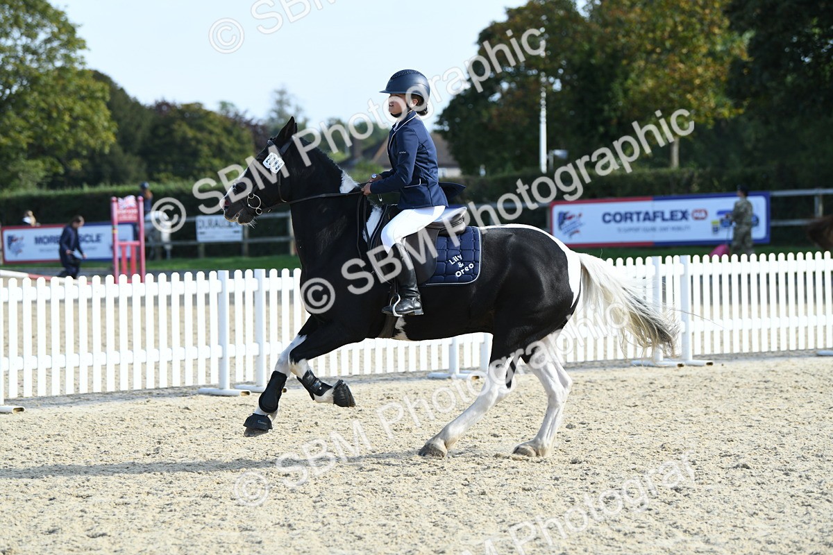 SBM_60617 - j25 - Junior Horse 80cm Championship