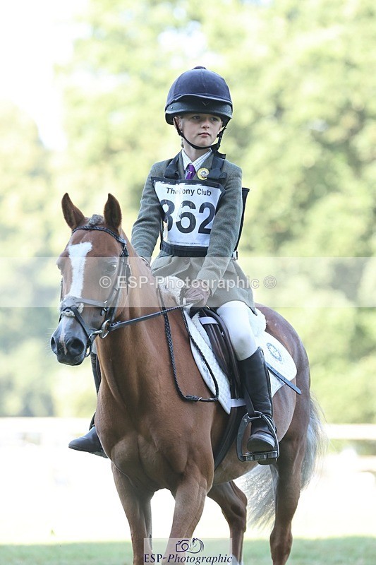 250823A-091711-25911 - Arena D