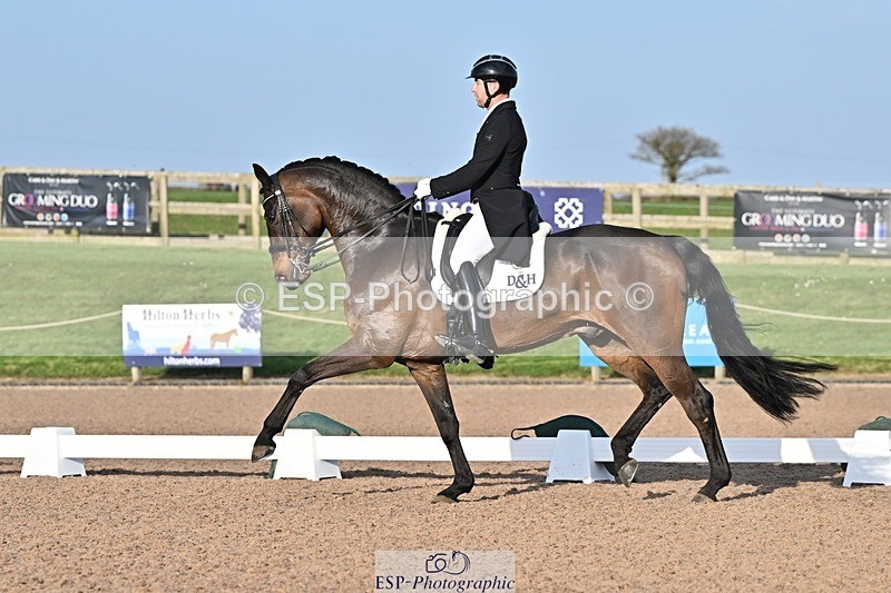 250404-181039-08553 - 159-Darren.Hicks-Tramontana.Tiger.Feet