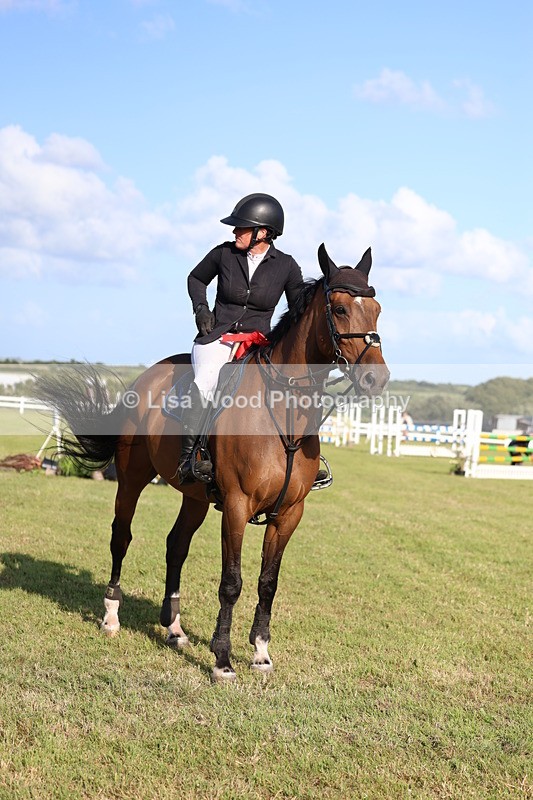 3E7A4527 - Class C: Showjumping Senior Foxhunter
