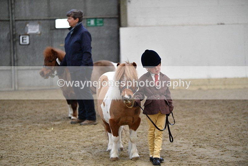 WJ5_5104 - Class 7 In hand coloured / odd coloured