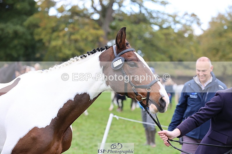 251026A-110940-25262 - F-408-Charlie.Wilson