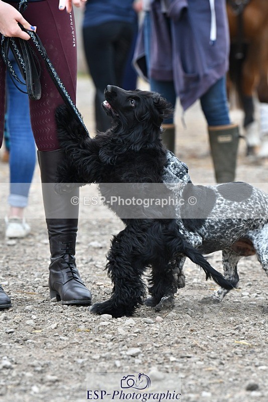 230817-124221-02798 - Stable Shots