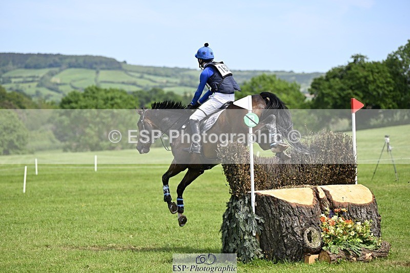 240525-141132-14887 - 162-HAZZLE_DAZZLE-Henry_Hobby