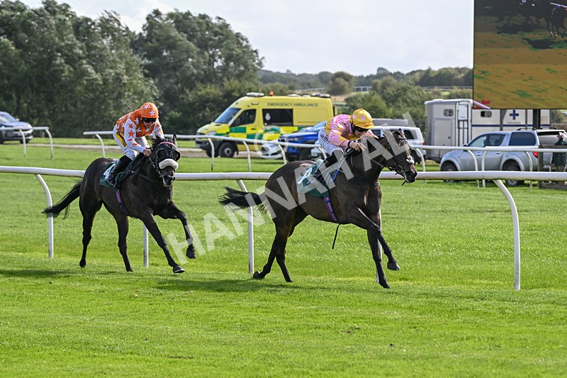 080926-Race 3-Battenburg Belle-2281 - Race 3 3.03pm Fifth Regiment Royal Artillery Handicap (Div I)
