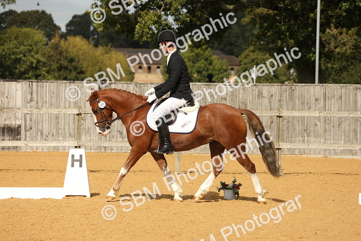SBM_46085 - D23 - Junior Championship - Prelim 12