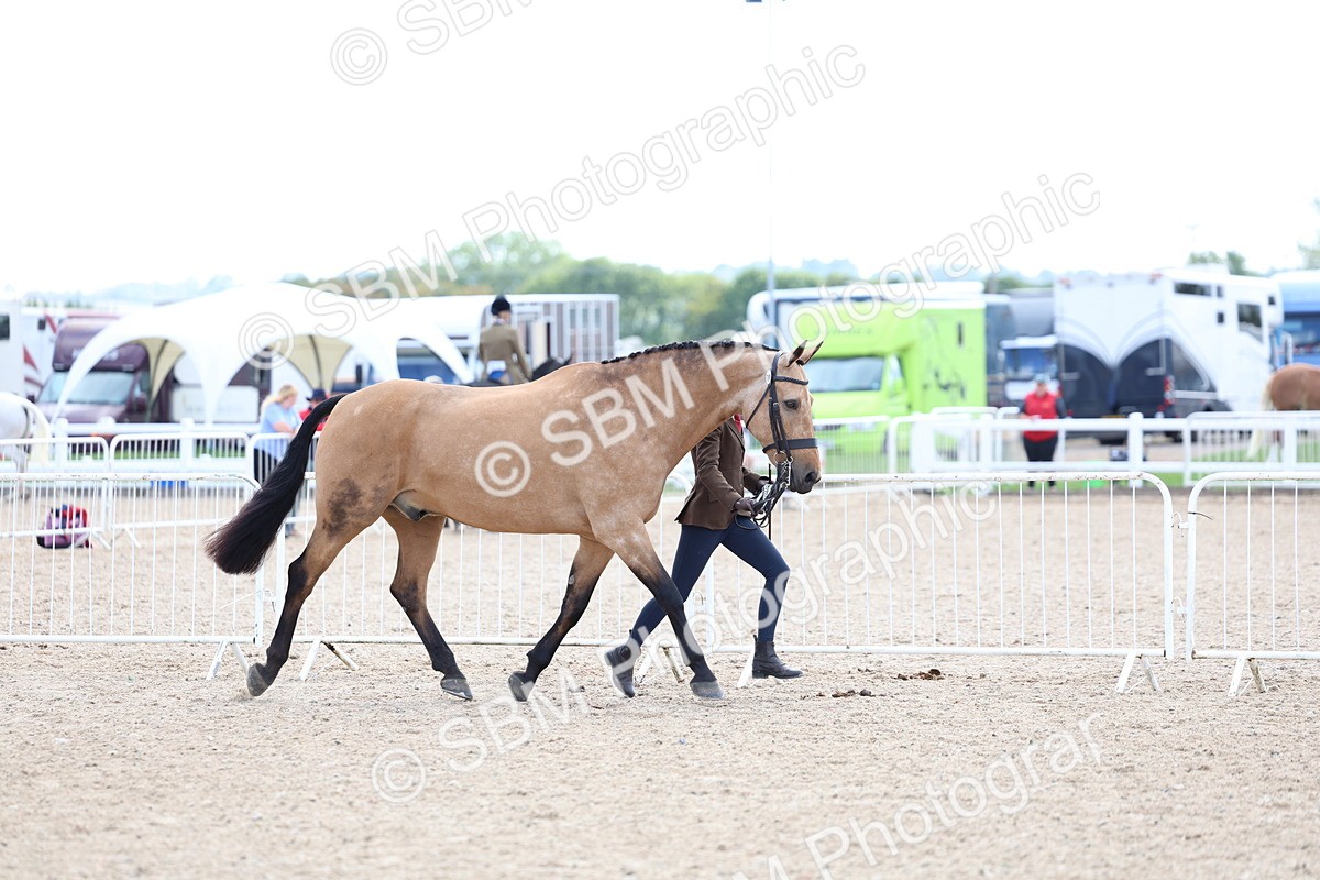 SBM_15333
