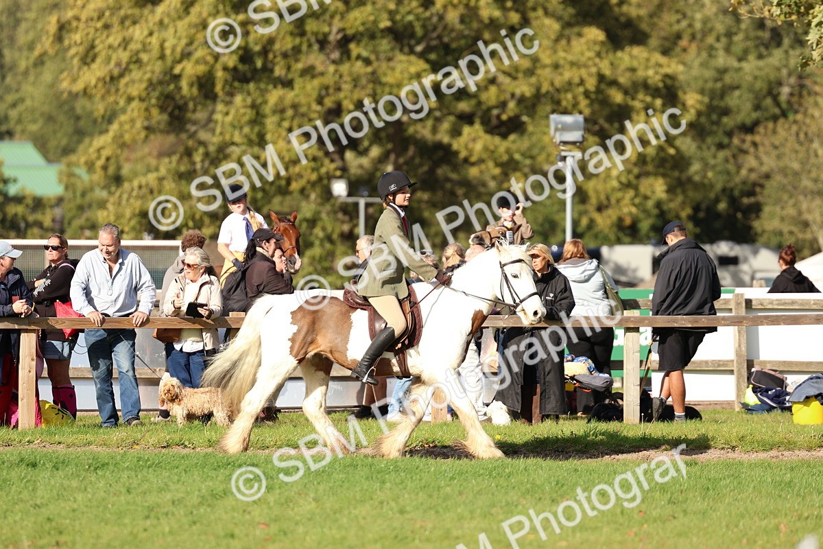 SBM_52472 - S13 - Pony Club Pony