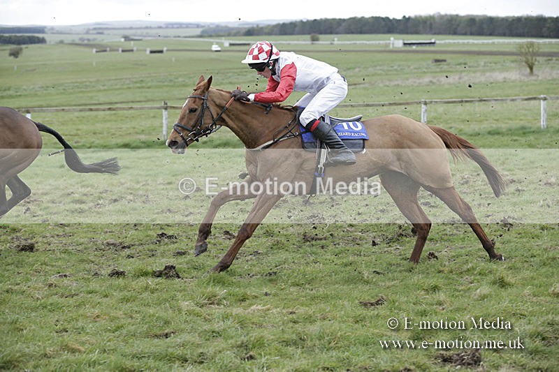 PtP 150320 0883 - New Forest Point-to-Point Larkhill 15/03/20