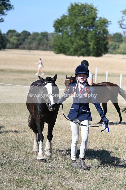 WJ7_1994 - Class 43 Best Six Legs (In hand)