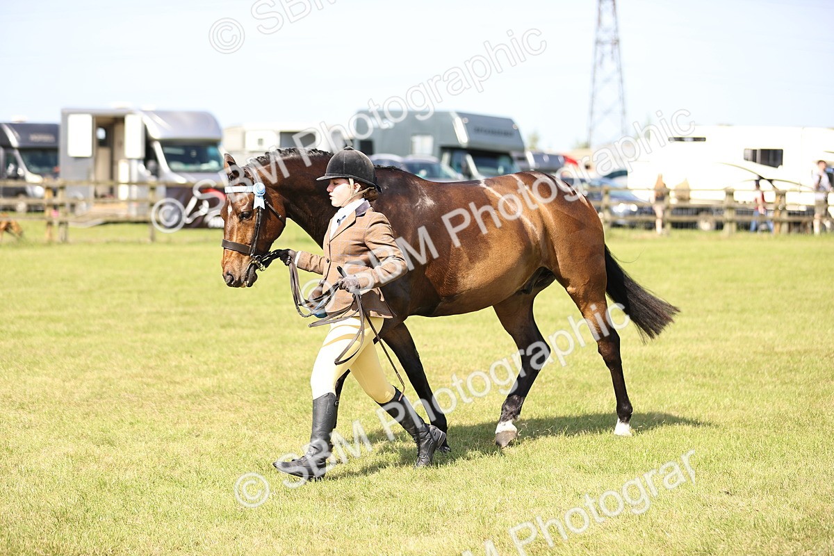SBM_12937 - Class 75-76 LIHS BSHA Rising Star Hack Riding Horse