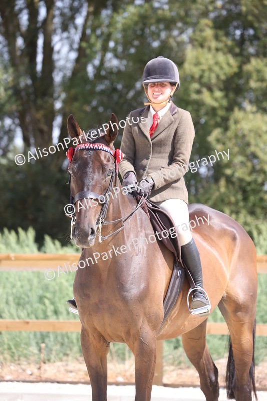20260802-0743 - Class 8 - Best Riding Horse or Pony