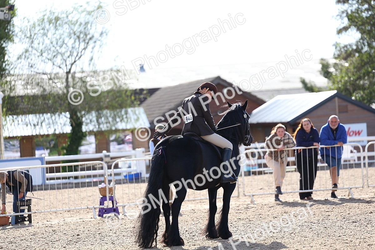 SBM_08947 - Class 302 - Ridden M&M - Large Breeds