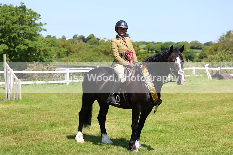 3E7A6809 - Working Hunter Pony Championship
