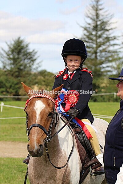 SIAL7195 - championships