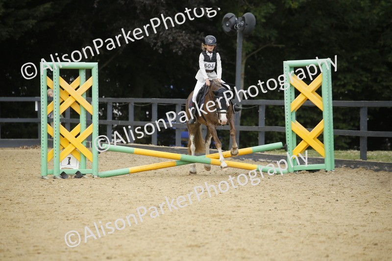 20250622-3615 - 50cm