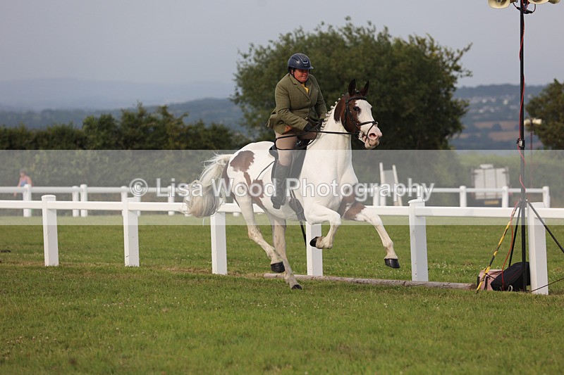 JPP_4716 - Working Hunter Championship
