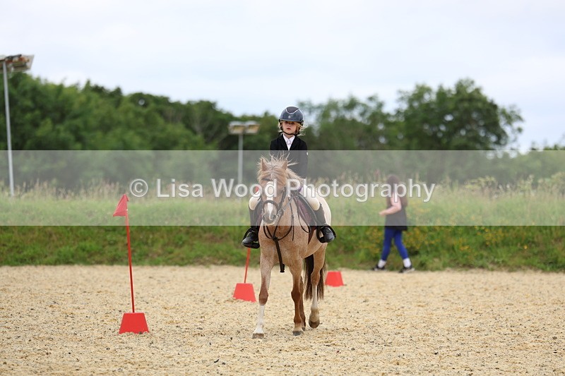 3E7A9427 - Walk trot run