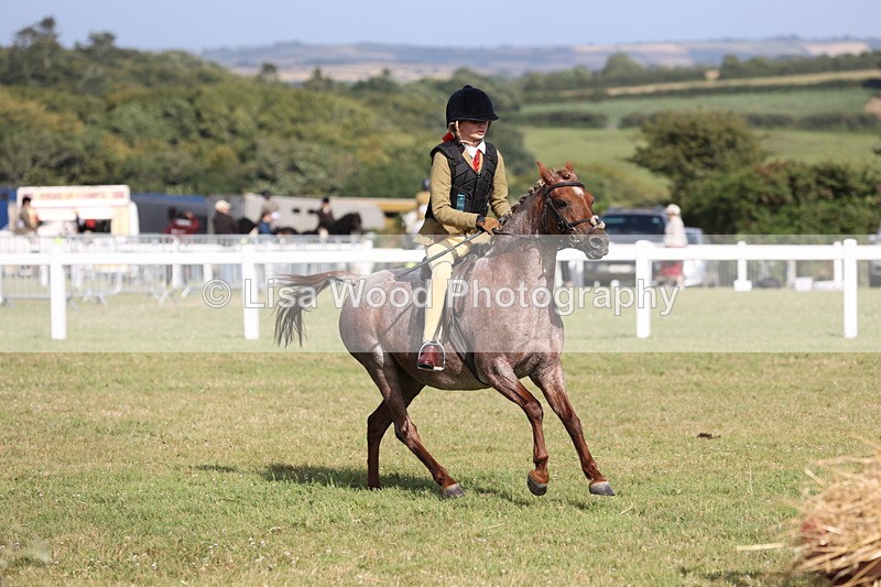 JPP_2830 - Class 20: Working Hunter 70cm