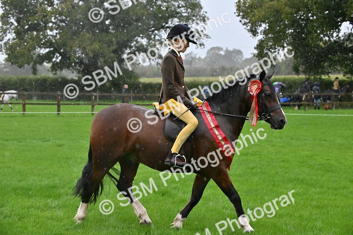 SBM_36565 - Top Turnout Supreme Championship