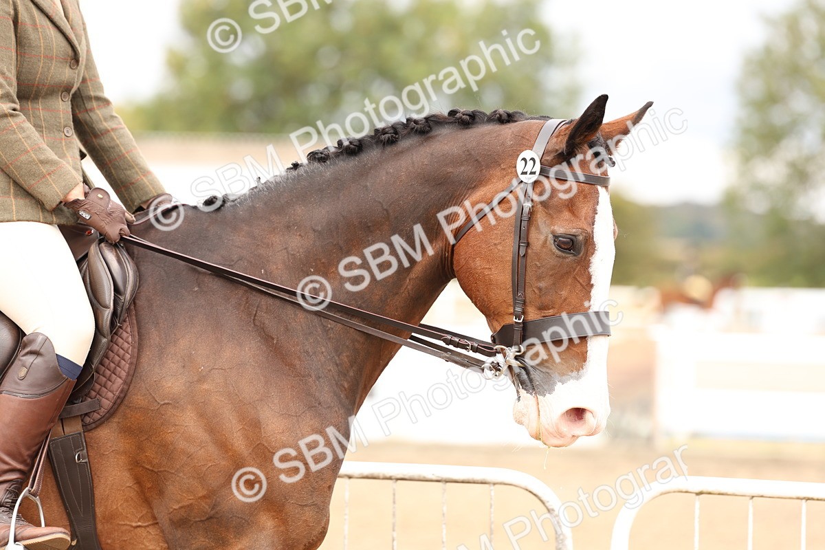 SBM_02787 - Class 53 - Ridden Competition Horse/Pony