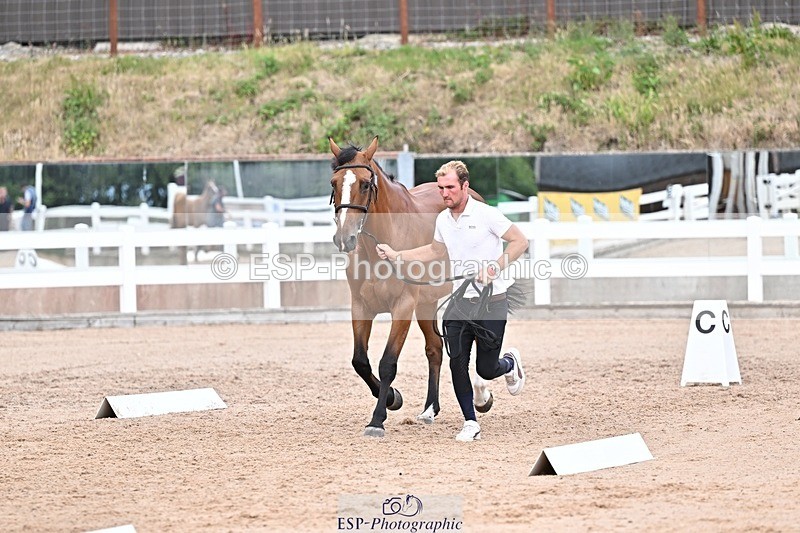 250716-163947-00725 - Trot Up 4.30 to 5.00