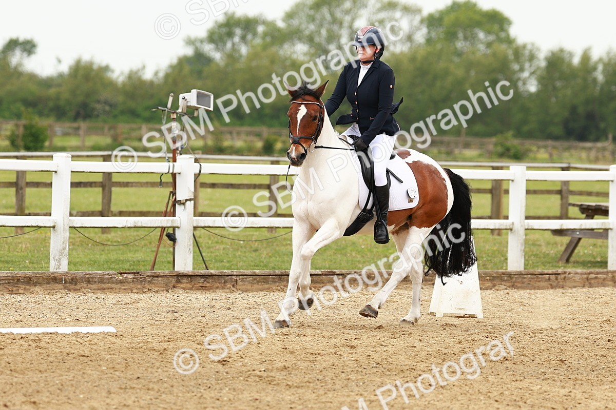 SBM_001079 - Class 6 - Novice 4