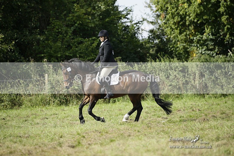 BVRC 120921 296 - Bourne Valley Riding Club UA Dressage & Show Jumping 12/09/21