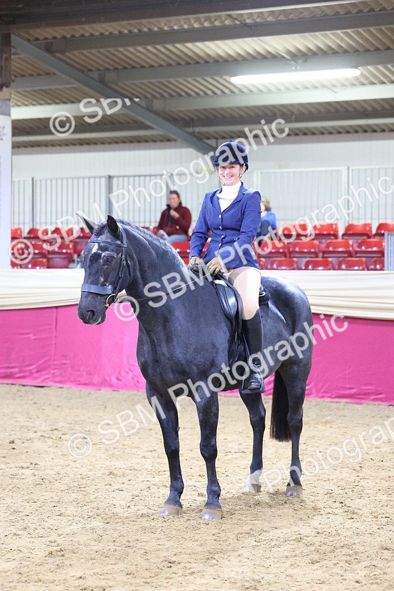 SBM_19169 - Class I Competition/ Riding Club Champ