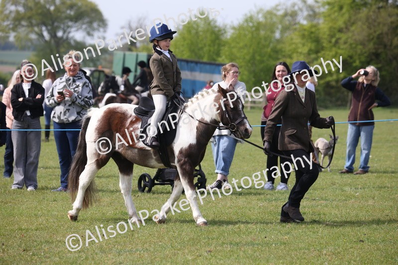 20260426-2593 - Class 31 - Leading Rein