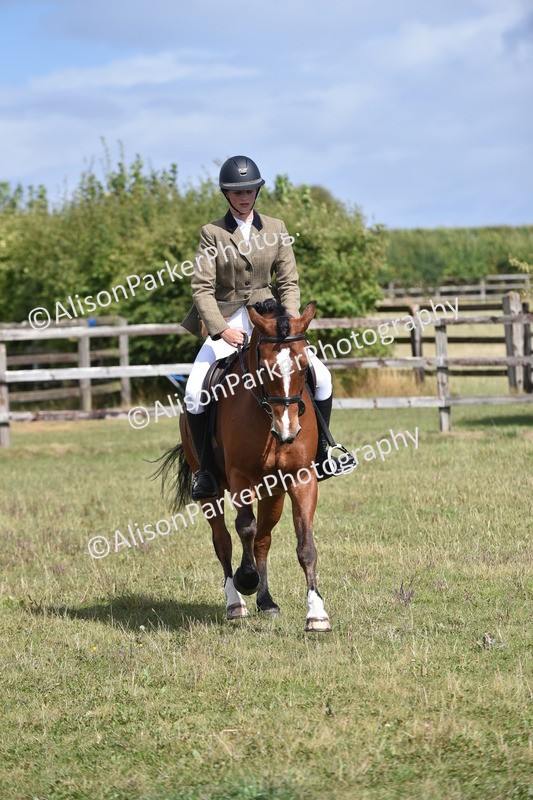 20250831-4016 - Class 12 - Working Hunter Pony 14.2hh and Under