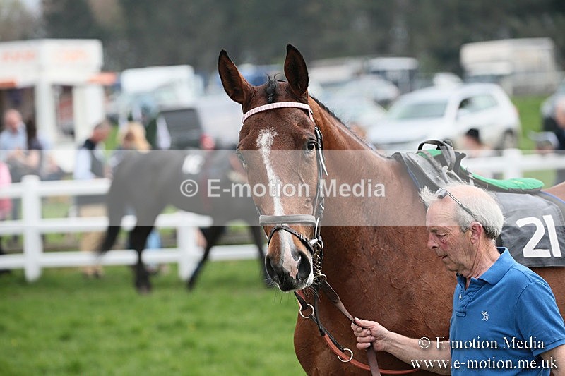 PtP 210418 167 - South & West Wilts Point-to-Point Larkhill 21/04/18