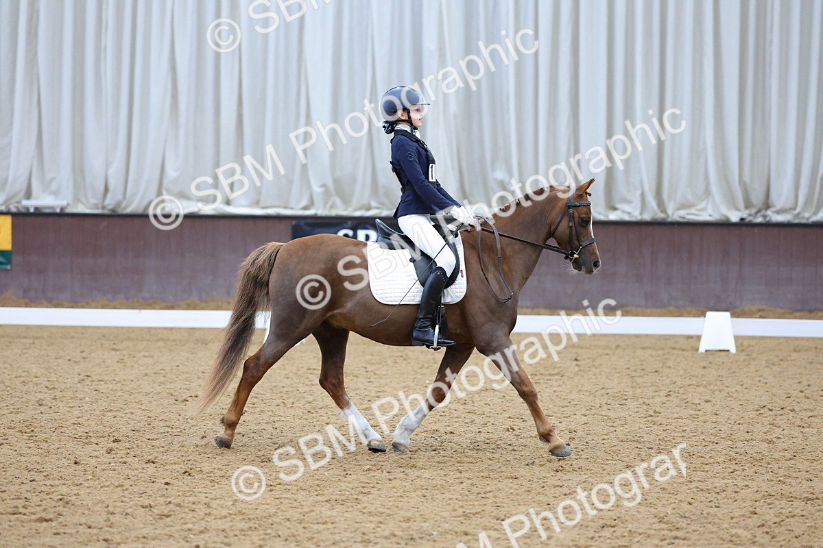 SBM_003664 - Novice